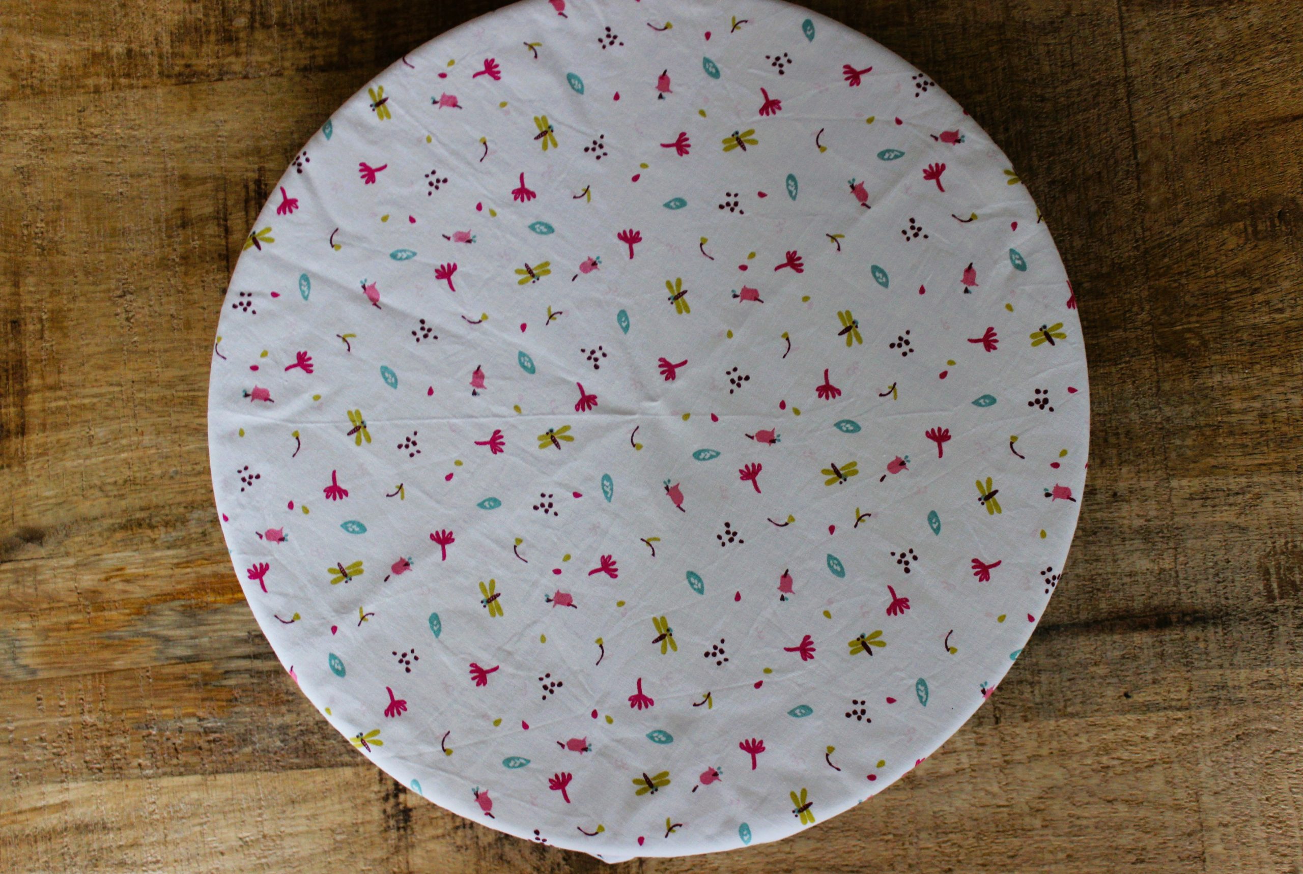 charlotte alimentaire libellule feuille blanc