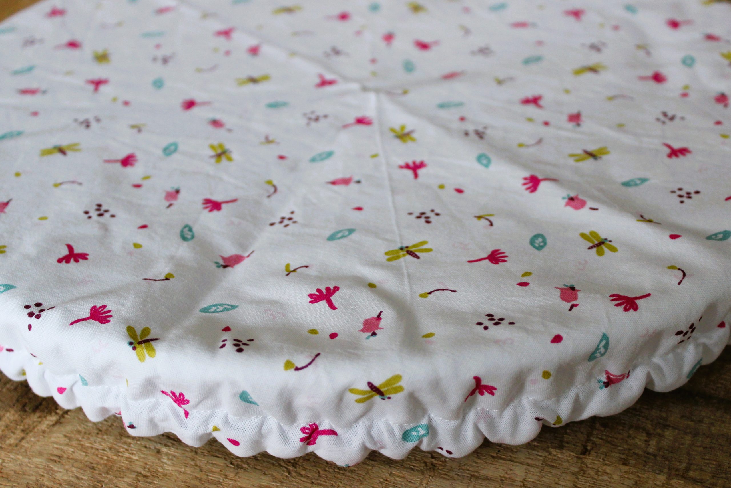 charlotte alimentaire libellule feuille blanc
